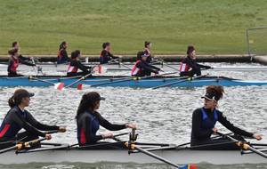 5b0d123a494cc_CNV201822.jpg