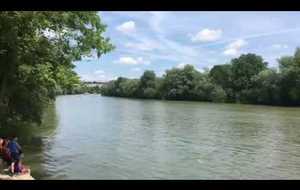 4+ SNP / LAGNY